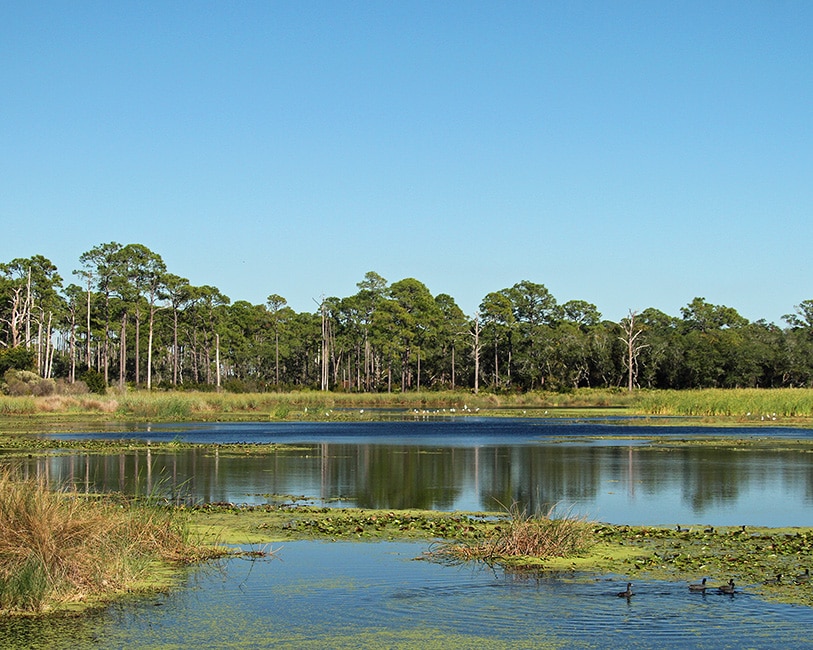 Photo of Stormwater retention pond